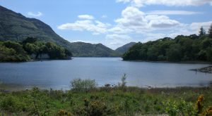 View of Lough Leane from Muckross House