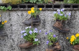 8 The Work Shoe Garden
